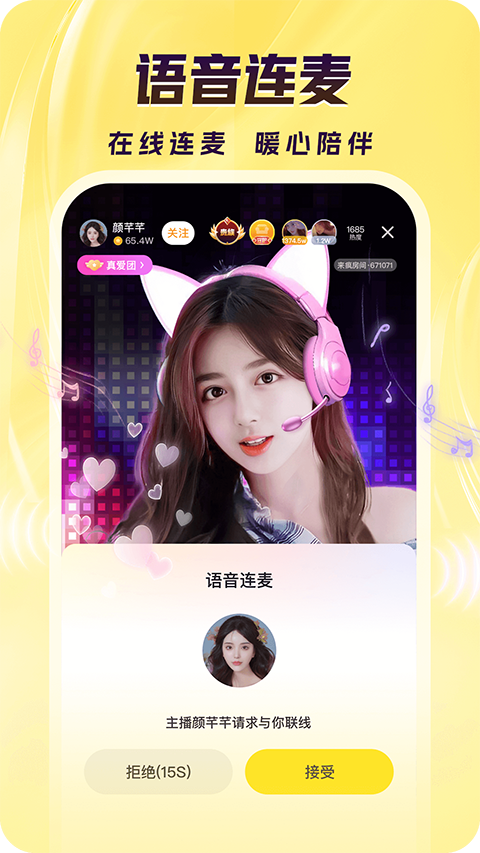 趴在键盘上的无毛猫凝视屏幕壁纸